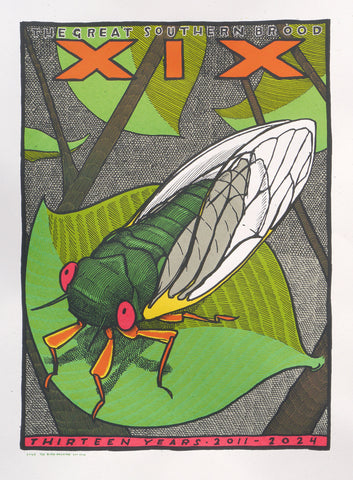 Cicada Brood 19 2024