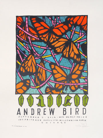 Andrew Bird at Millennium Park 2016