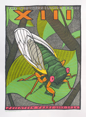 Cicada Brood 13 2024