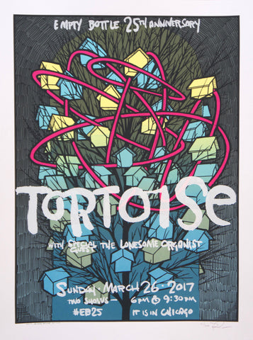 Tortoise 2017