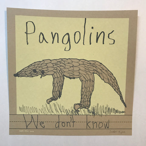 Pangolins: We Don't Know (by Isabel Ryan)