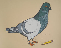 Pigeon with Pencil